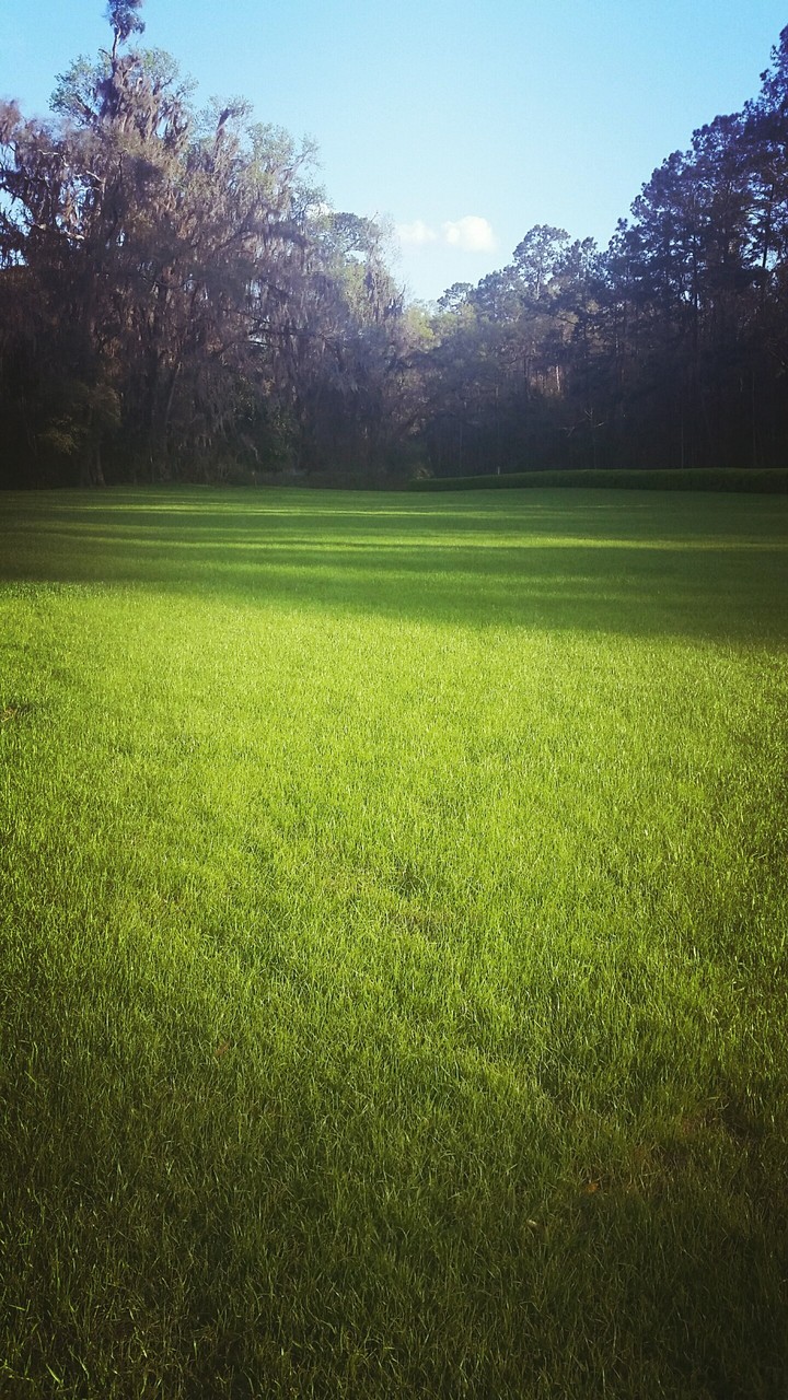 Greenway