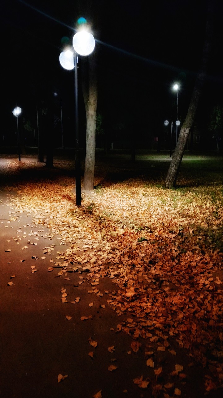 autumn mood