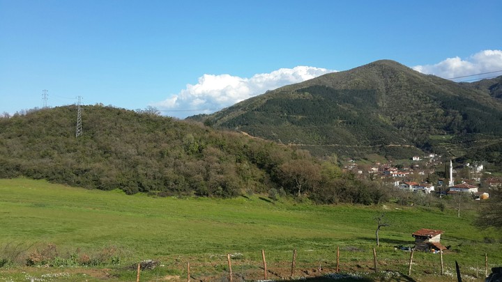 manzara