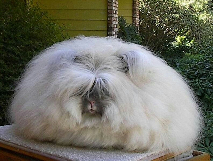 Me in the morning...