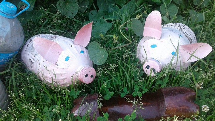 Свинки из бутылок-Pigs from bottles.