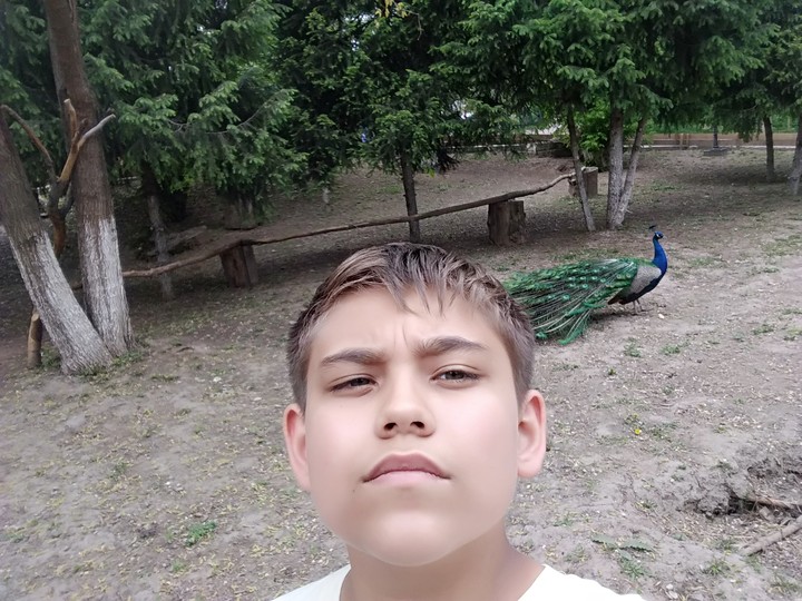 Рома