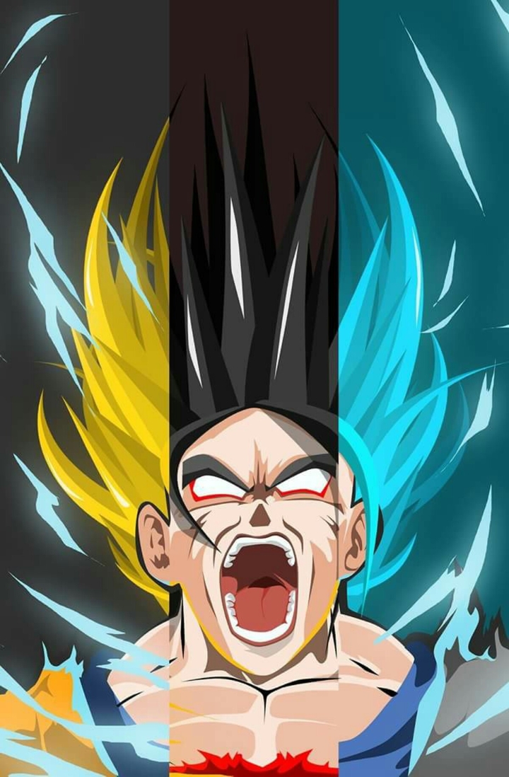 Goku y sus transformaciones