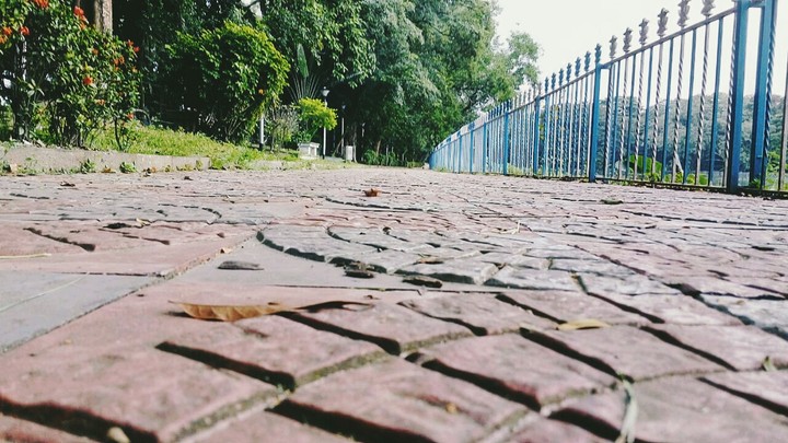 way to home