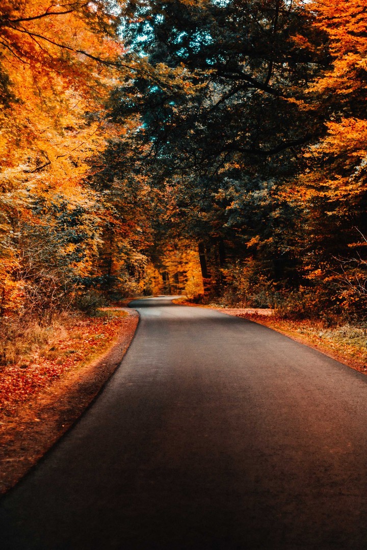 autumn