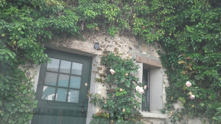 maison en fleur