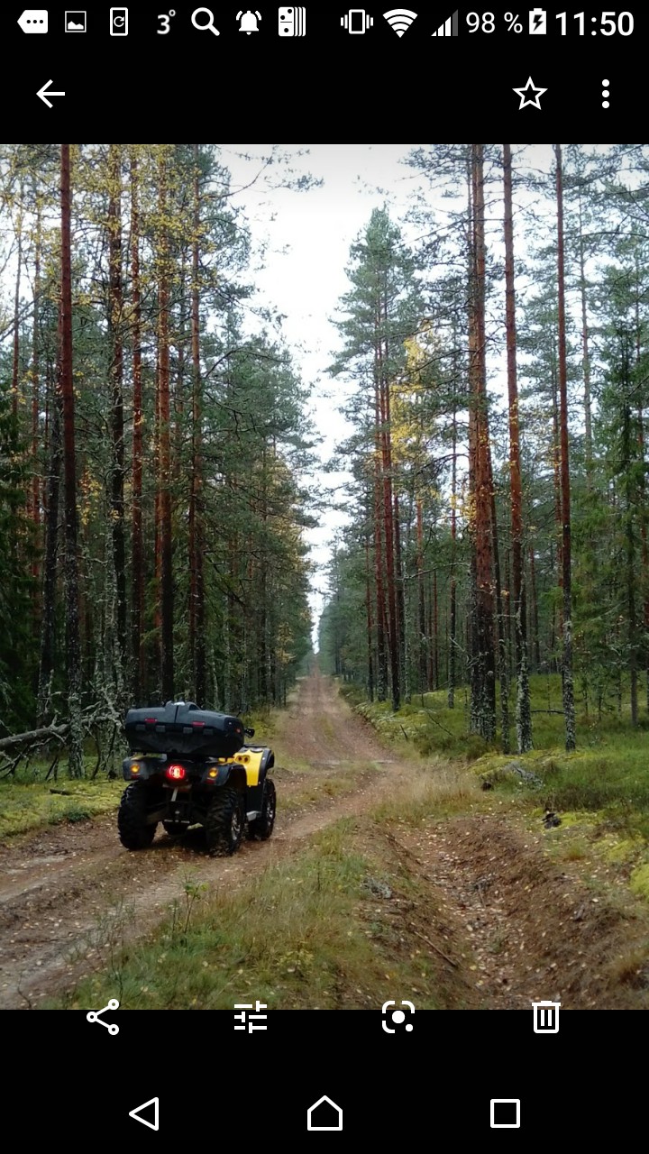 лес