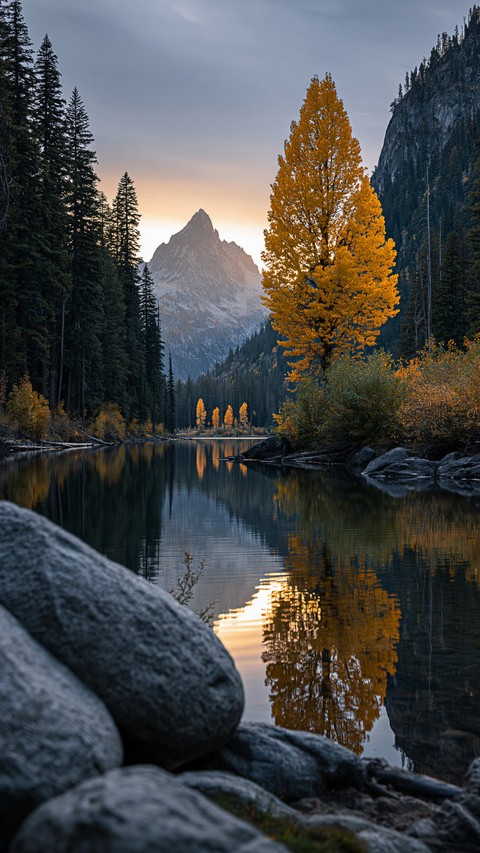 reflection, nature wallpapers