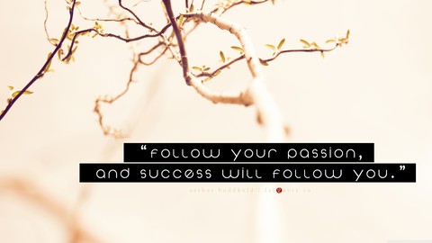 follow your passion...
