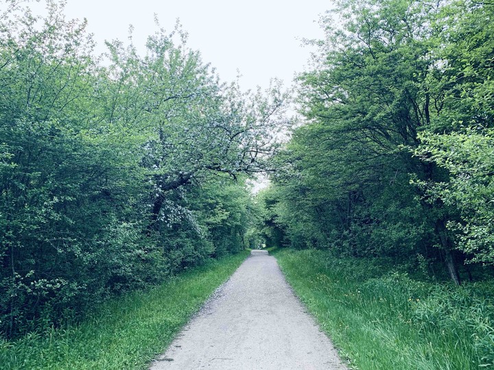 Trail