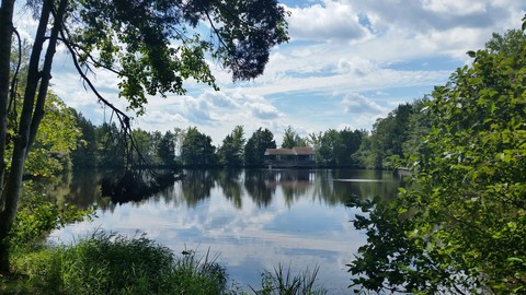 Lake view on a trail