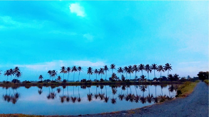 GOOD EVENING