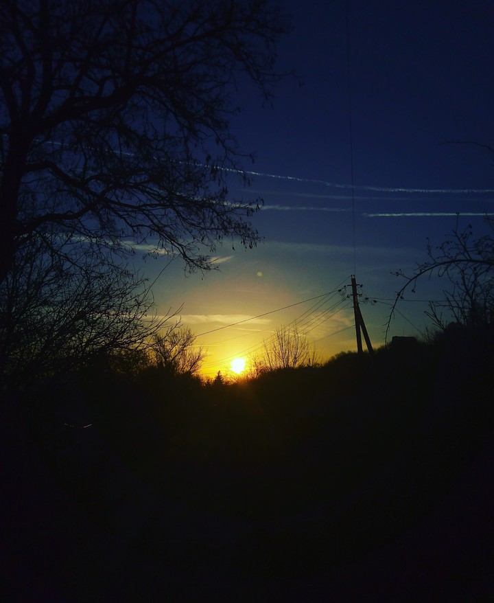 nice morning