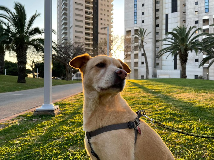 so majestic