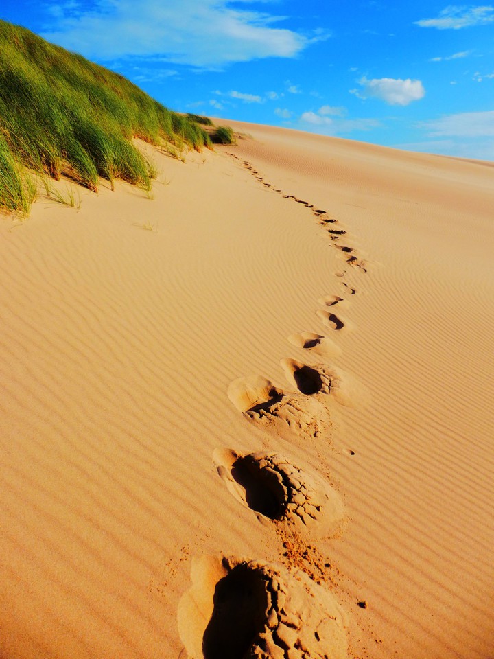 Footprint