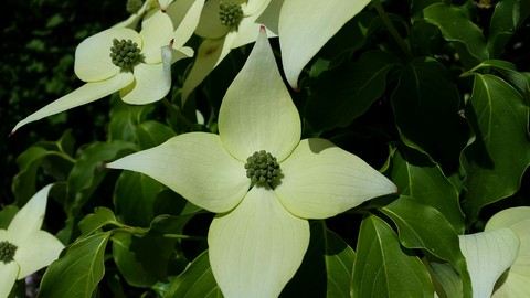 Frühling