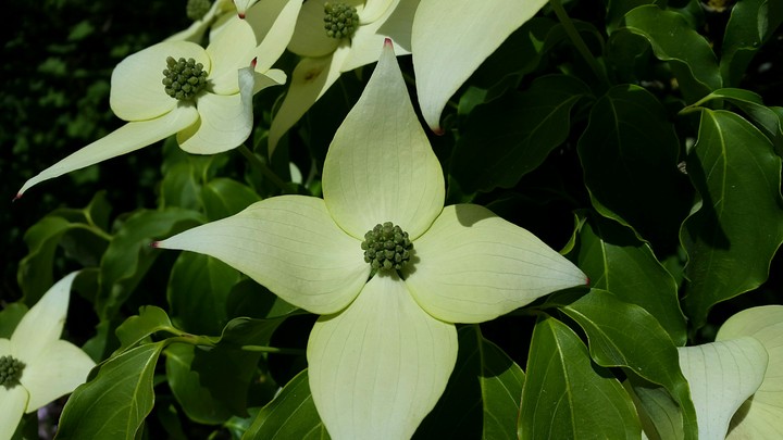 Frühling