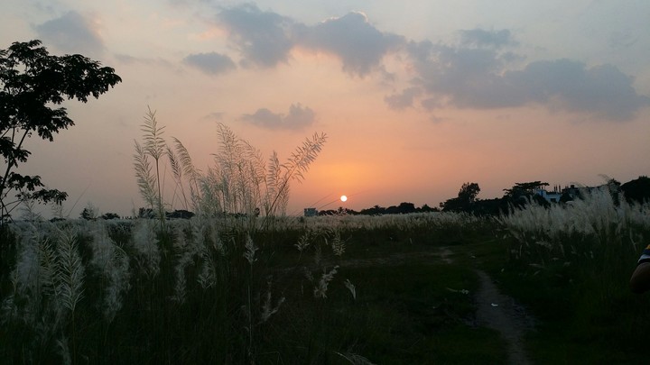 Buitefull Sunrise