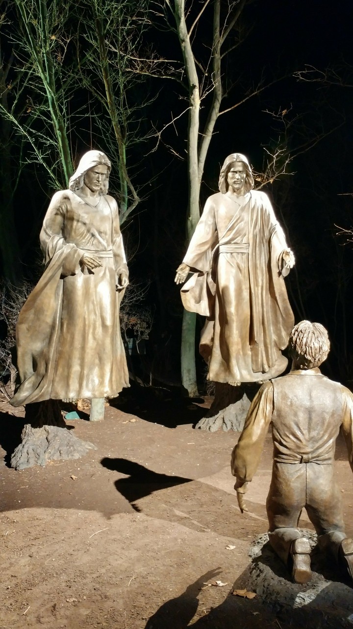 The First Vision