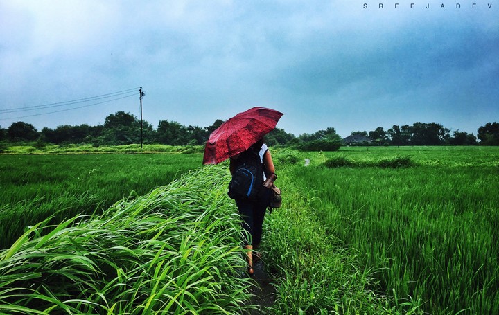 Monsoon