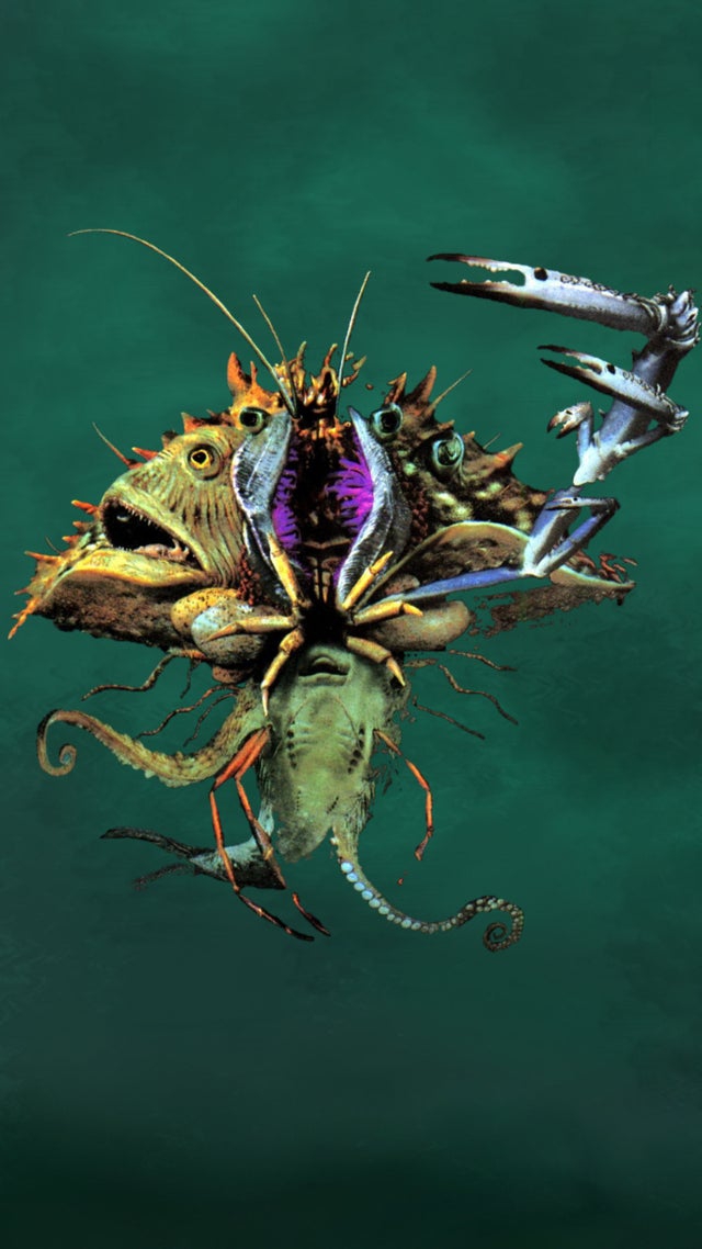 the mollusk
