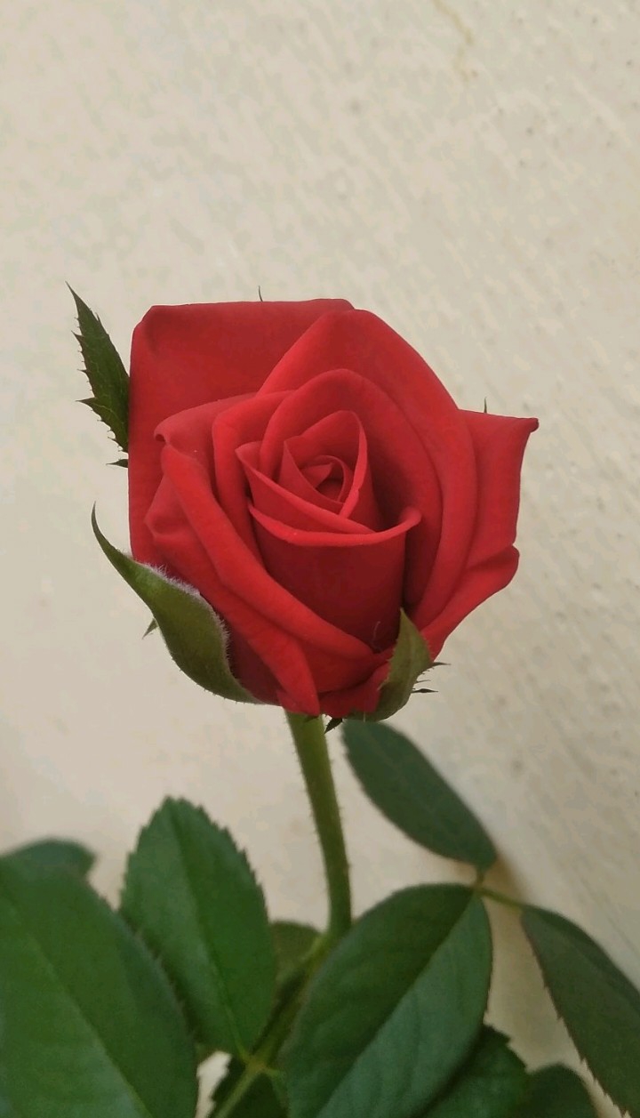 ??
