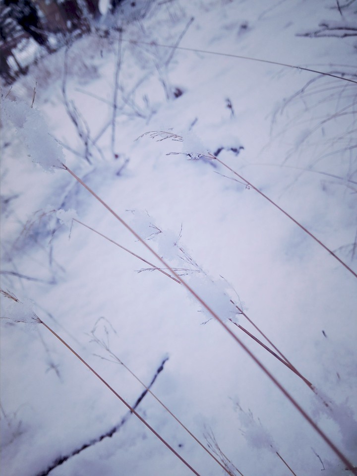 beautiful winter in Polanica Zdrój 2018