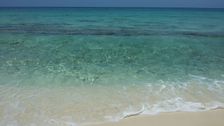 Paradise❤