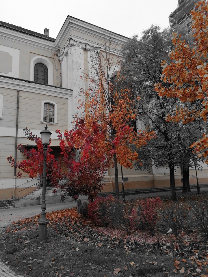 Autumn