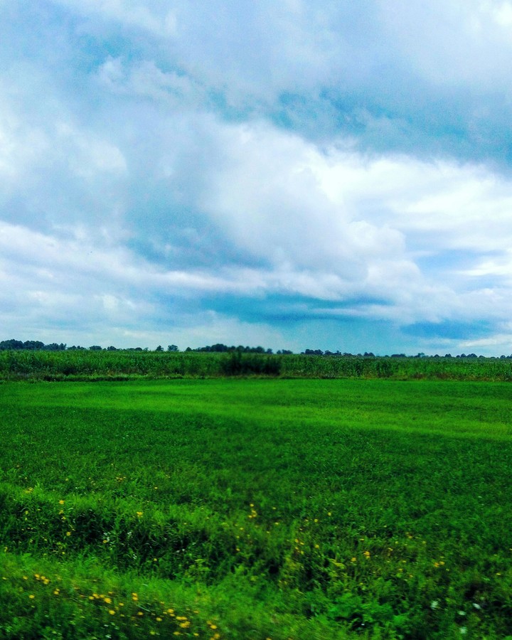 Sky & Field