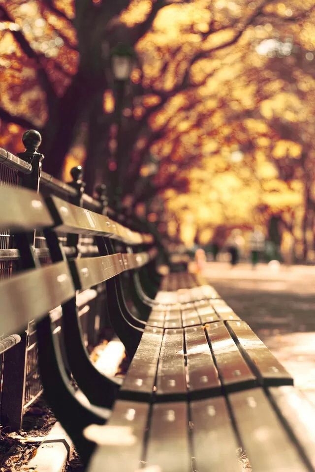 Bench