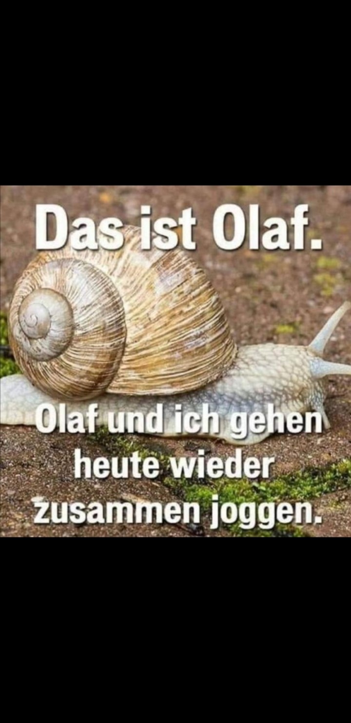 Schnecke