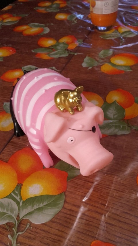 Pigs