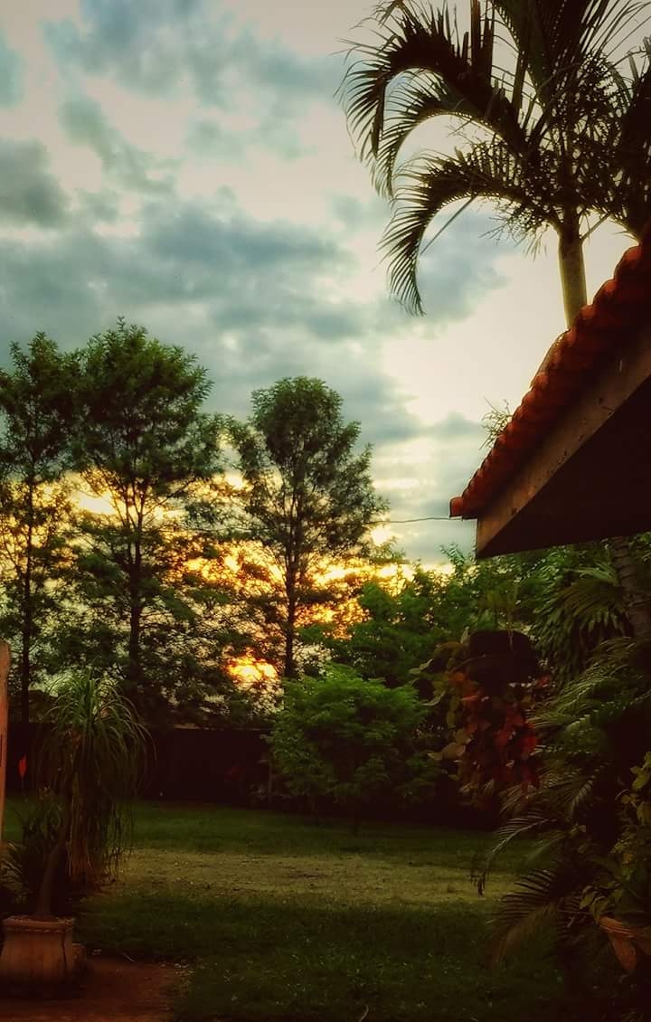 Bom dia ...