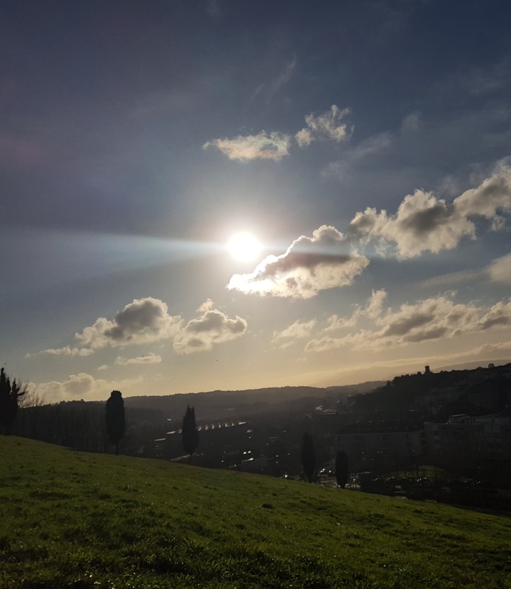 Nature in the city