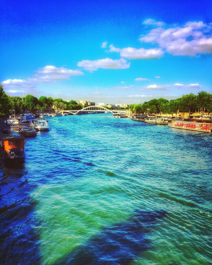 Rives de la Seine