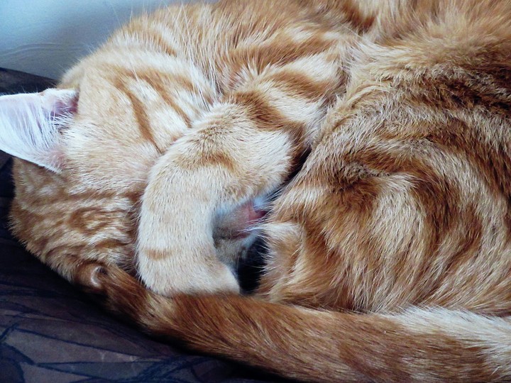 Snuggle