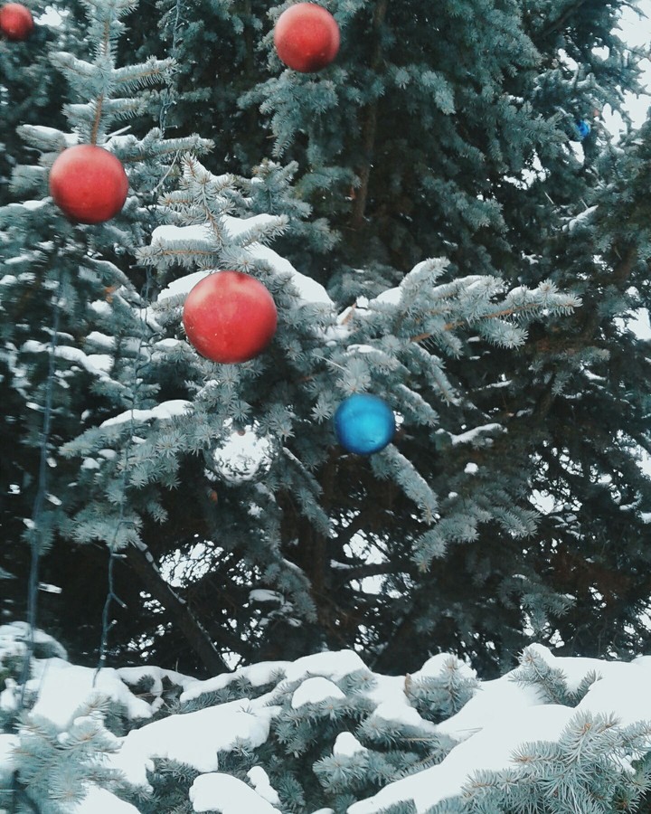 Christmas