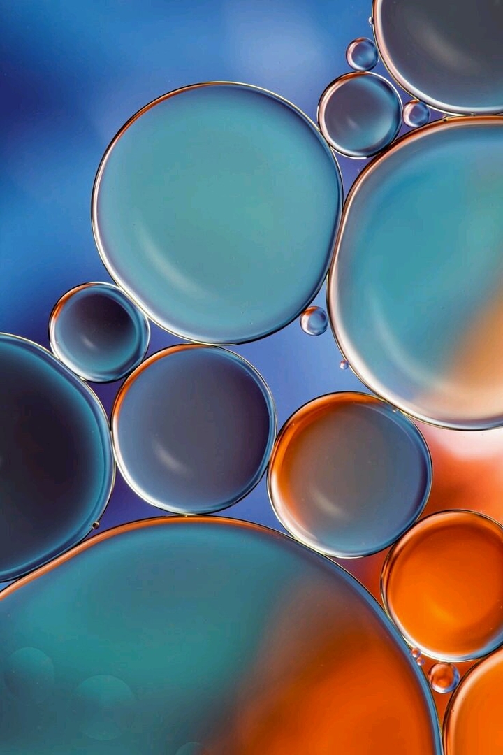 Bubbles 