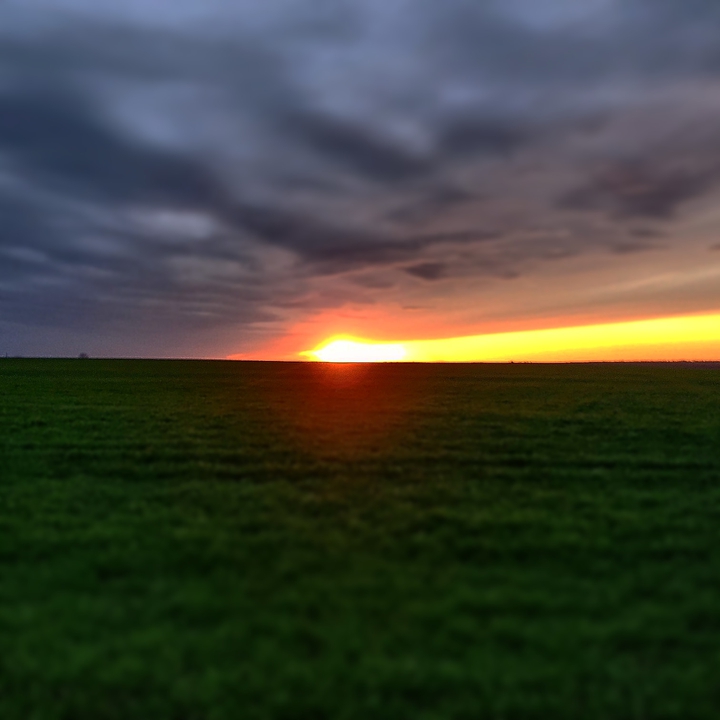 Green field under sunset