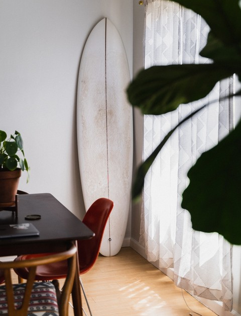 papéis de parede House, plant