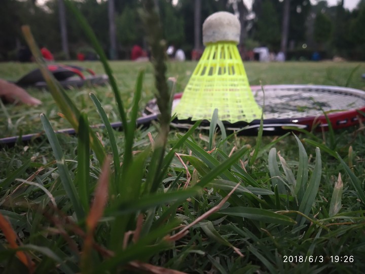 nature