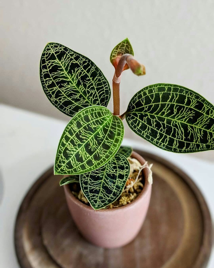 ❤