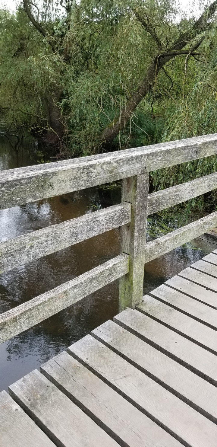 bridge