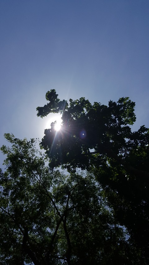 sky