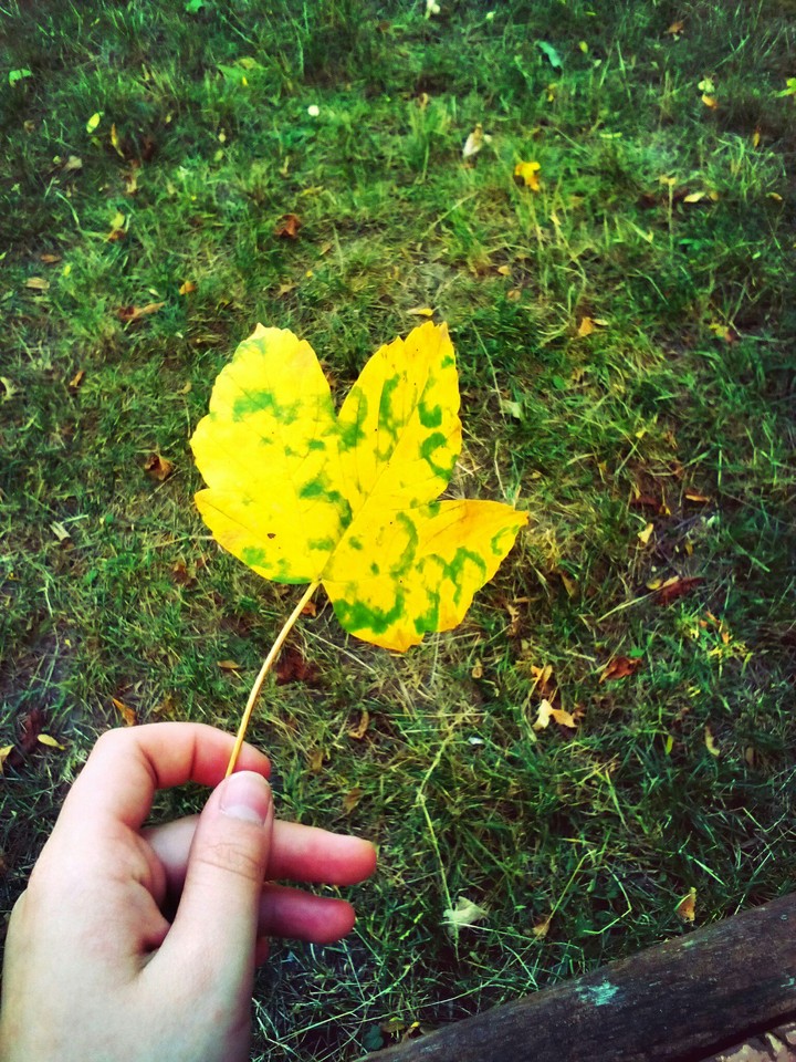 autumn