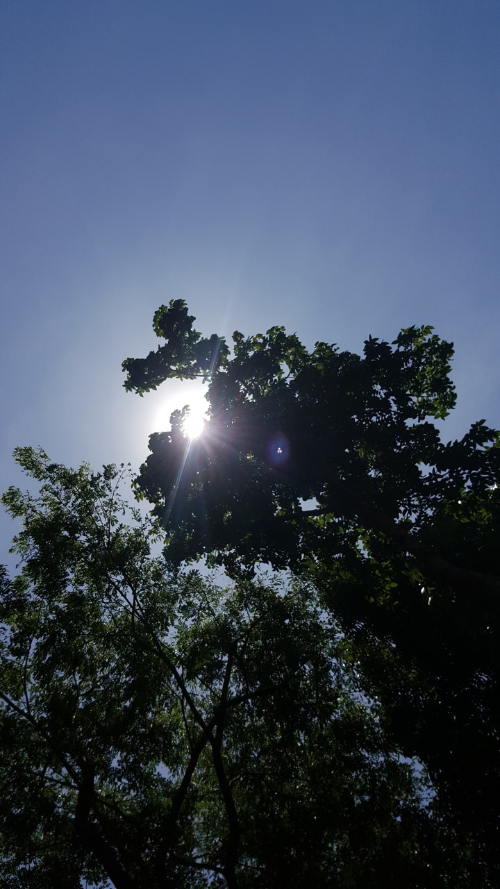 sky