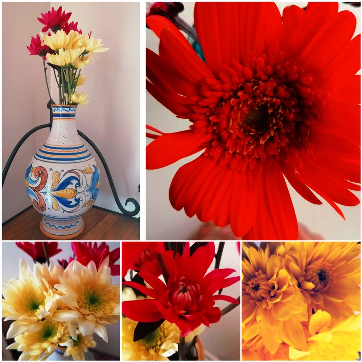 red & yellow flowers
