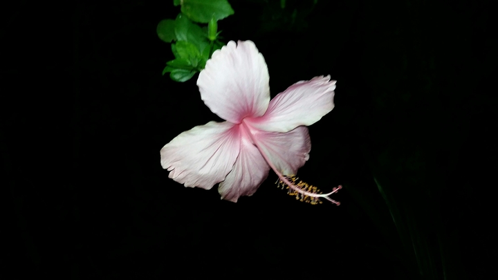 my photography