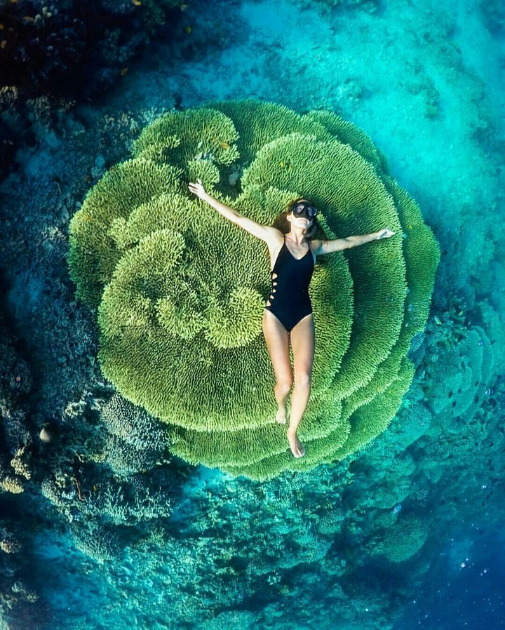 Bunaken Island - Indonesia